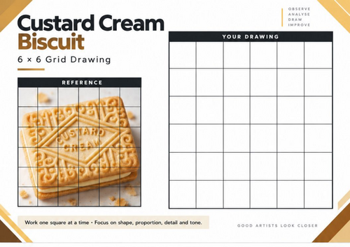 Custard Cream Biscuit Grid Drawing Worksheet | Texture & Pattern | KS3 & KS4