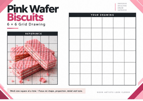 Pink Wafer Biscuits Grid Drawing Worksheet | Texture & Form | KS3 & KS4