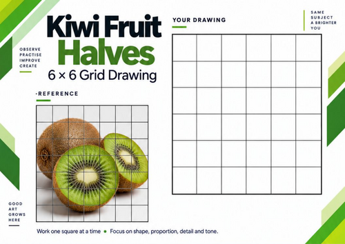 Kiwi Fruit Grid Drawing Worksheet | Detailed Texture & Observational Art | KS3 & KS4