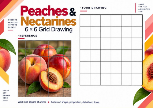 Peaches & Nectarines Grid Drawing Worksheet | Fruit Still Life & Texture | KS3 & KS4 Art