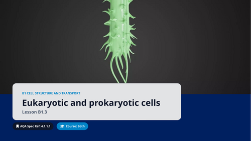 B1.3 Eukaryotic and Prokaryotic Cells (AQA 1-9 GCSE Combined Trilogy & Separate Biology)