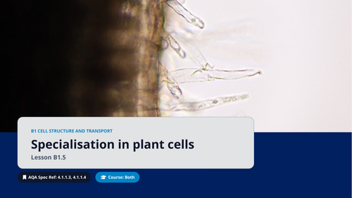 B1.5 Specialisation in Plant Cells (AQA 1-9 GCSE Combined Trilogy & Separate Biology)