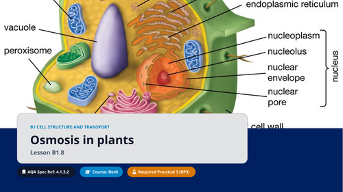 B1.8 Osmosis in Plants (AQA 1-9 GCSE Combined Trilogy & Separate Biology)