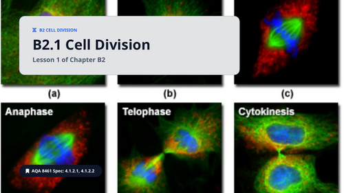 FREE B2.1 Cell Division  (AQA 1-9 GCSE Combined Trilogy & Separate Biology)