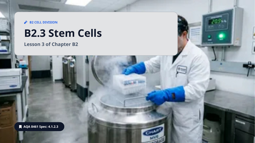 B2.3 Stem Cells  (AQA 1-9 GCSE Combined Trilogy & Separate Biology)