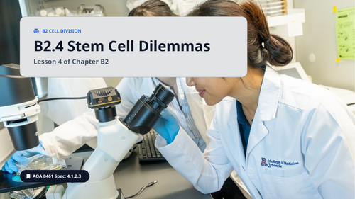 B2.4 Stem Cell Dilemmas (AQA 1-9 GCSE Combined Trilogy & Separate Biology)