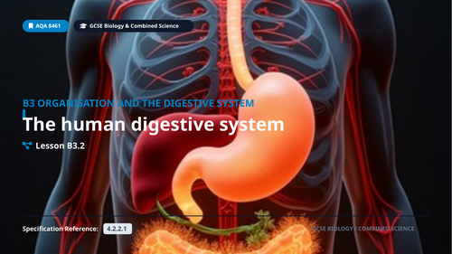 B3.2 The Human Digestive System (AQA 1-9 GCSE Combined Trilogy & Separate Biology)