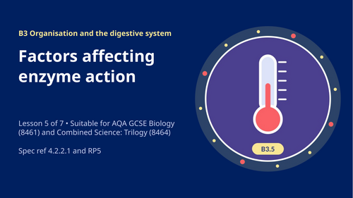 B3.5 Factors Affecting Enzyme Action (AQA 1-9 GCSE Combined Trilogy & Separate Biology)