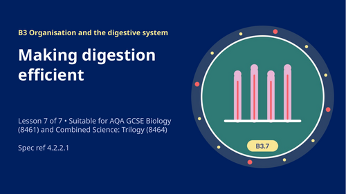 B3.7 Making Digestion Efficient (AQA 1-9 GCSE Combined Trilogy & Separate Biology)