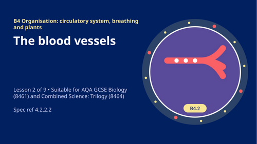 B4.2 The Blood Vessels (AQA 1-9 GCSE Combined Trilogy & Separate Biology)