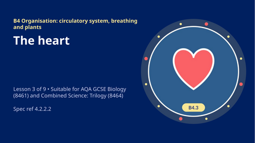 B4.3 The Heart (AQA 1-9 GCSE Combined Trilogy & Separate Biology)
