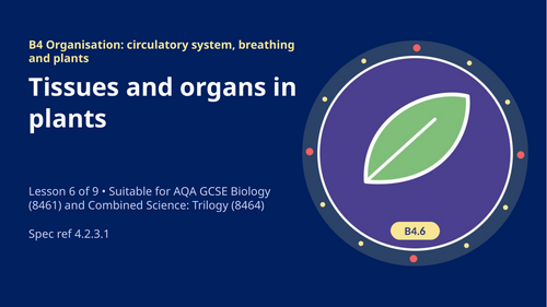 B4.6 Tissues and Organs in Plants (AQA 1-9 GCSE Combined Trilogy & Separate Biology)