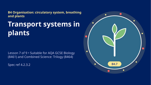 B4.7 Transport Systems in Plants (AQA 1-9 GCSE Combined Trilogy & Separate Biology)