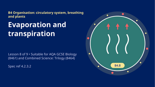 B4.8 Evaporation and Transpiration (AQA 1-9 GCSE Combined Trilogy & Separate Biology)