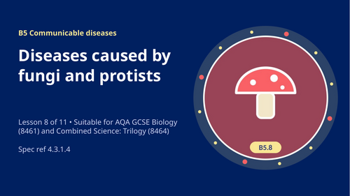 B5.8 Fungi and Protist Diseases (AQA 1-9 GCSE Combined Trilogy & Separate Biology)