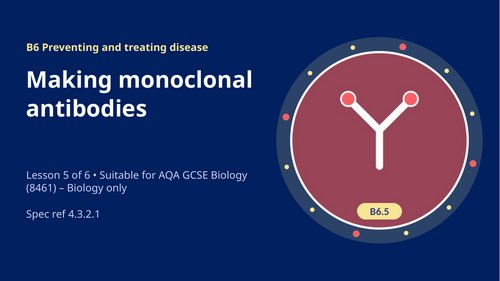 B6.5 Making Monoclonal Antibodies (AQA 1-9 GCSE Combined Trilogy & Separate Biology)