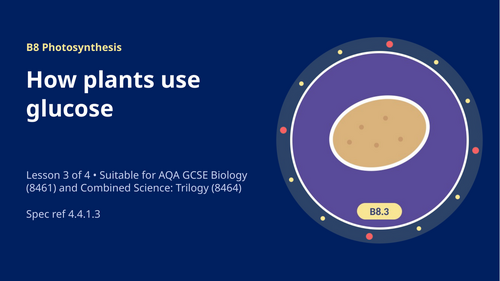 B8.3 How Plants Use Glucose (AQA 1-9 GCSE Combined Trilogy & Separate Biology)