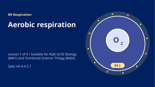 B9.1 Aerobic Respiration (AQA 1-9 GCSE Combined Trilogy & Separate Biology)