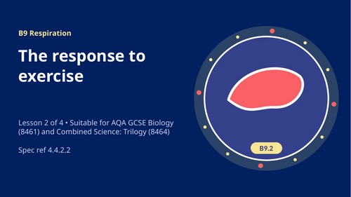 B9.2 The Response to Exercise (AQA 1-9 GCSE Combined Trilogy & Separate Biology)