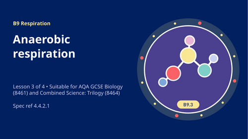 B9.3 Anaerobic Respiration (AQA 1-9 GCSE Combined Trilogy & Separate Biology)