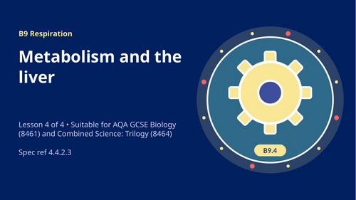 B9.4 Metabolism and the Liver (AQA 1-9 GCSE Combined Trilogy & Separate Biology)