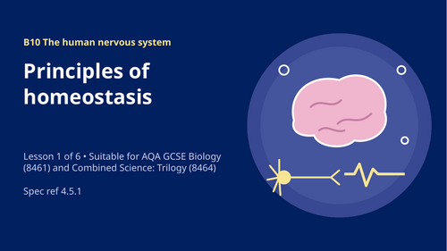 B10.1 Principles of Homeostasis (AQA 1-9 GCSE Combined Trilogy & Separate Biology)