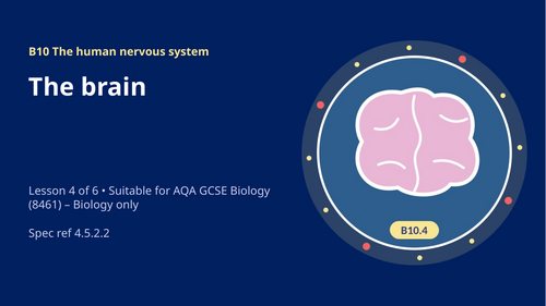 B10.4 The Brain (AQA 1-9 GCSE Combined Trilogy & Separate Biology)