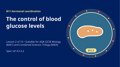 B11.2 Control of Blood Glucose (AQA 1-9 GCSE Combined Trilogy & Separate Biology)
