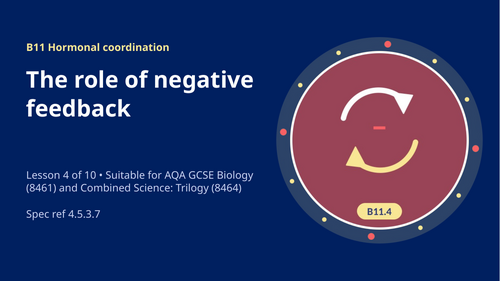 B11.4 Negative Feedback Adrenaline and Thyroxine (AQA 1-9 GCSE Combined Trilogy & Separate Biology)