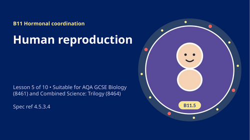 B11.5 Human Reproduction Hormones (AQA 1-9 GCSE Combined Trilogy & Separate Biology)