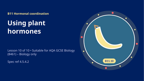 B11.10 Using Plant Hormones (AQA 1-9 GCSE Combined Trilogy & Separate Biology)
