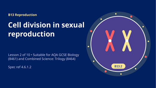 B13.2 Cell Division in Sexual Reproduction (AQA 1-9 GCSE Combined Trilogy & Separate Biology)
