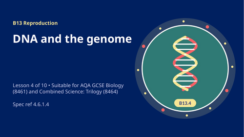 B13.4 DNA and the Genome (AQA 1-9 GCSE Combined Trilogy & Separate Biology)