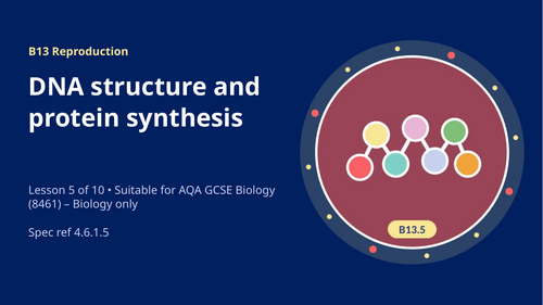 B13.5 DNA Structure and Protein Synthesis (AQA 1-9 GCSE Combined Trilogy & Separate Biology)
