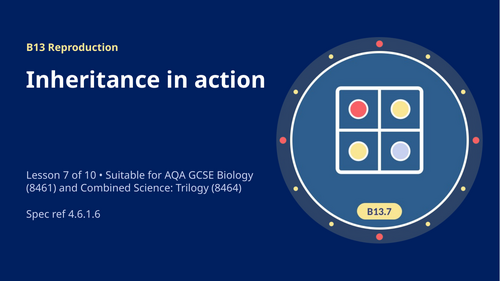 B13.7 Inheritance in Action (AQA 1-9 GCSE Combined Trilogy & Separate Biology)