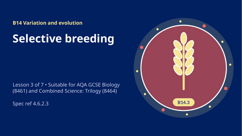 B14.3 Selective Breeding (AQA 1-9 GCSE Combined Trilogy & Separate Biology)