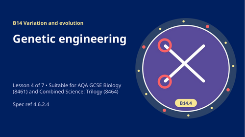 B14.4 Genetic Engineering (AQA 1-9 GCSE Combined Trilogy & Separate Biology)