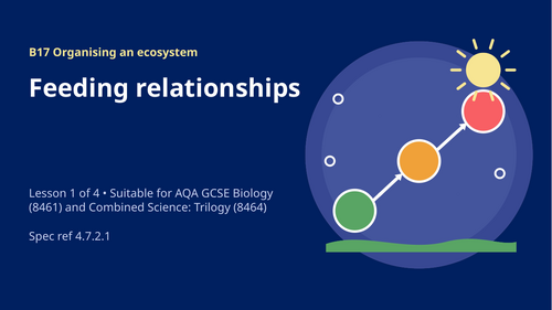 B17.1 Feeding Relationships (AQA 1-9 GCSE Combined Trilogy & Separate Biology)