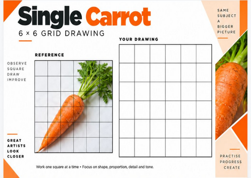 Carrot Grid Drawing Worksheet | Real Photo 6x6 Observational Drawing | KS3 KS4 Art