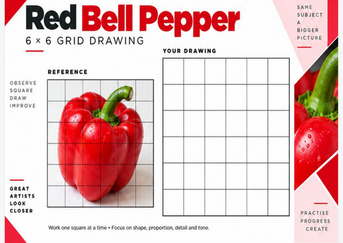 Red Bell Pepper Grid Drawing Worksheet | Real Photo 6x6 Drawing Activity | KS3 KS4 Art