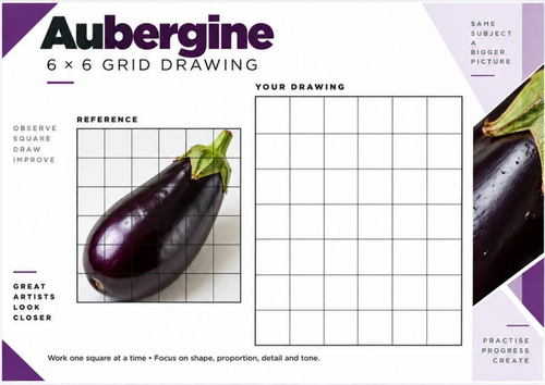 Aubergine Grid Drawing Worksheet | Highlights and Shading 6x6 Art Activity | KS3 KS4