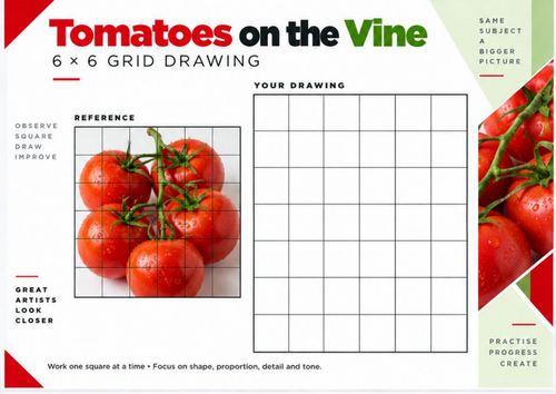 Tomatoes on the Vine Grid Drawing Worksheet | Real Photo 6x6 Still Life | KS3 KS4 Art