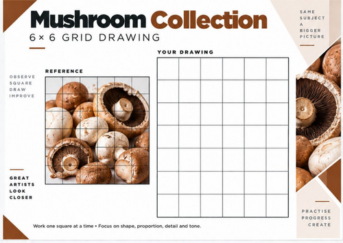 Mushroom Collection Grid Drawing Worksheet | Texture and Form 6x6 Drawing | KS3 KS4 Art