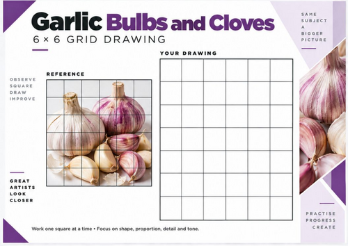 Garlic Bulbs Grid Drawing Worksheet | Natural Forms 6x6 Observational Drawing | KS3 KS4