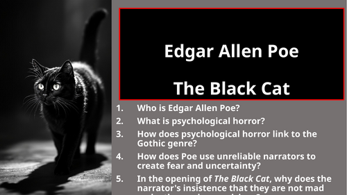 The Black Cat