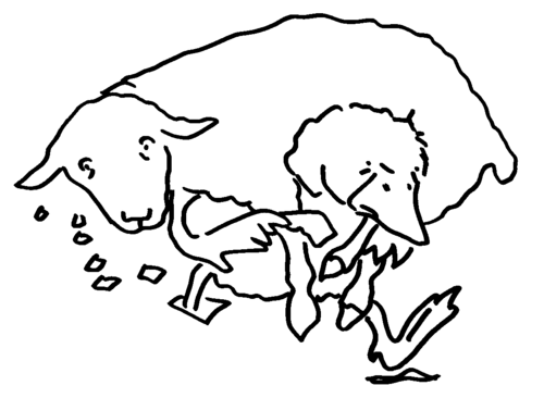 Farmer Duck Colouring Images for KS1 by bevevans22 Teaching Resources Tes