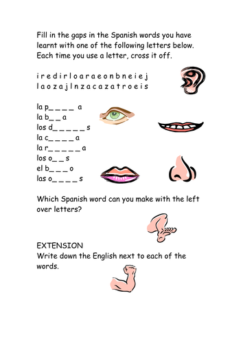 body parts spanish worksheet teaching resources