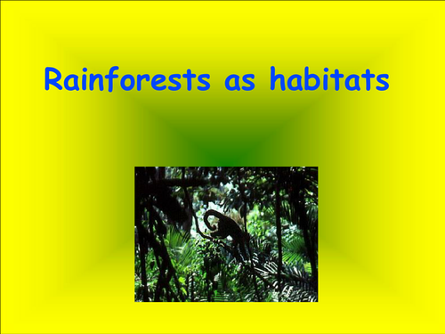 rainforests as habitats by catherine41 - Teaching Resources - Tes