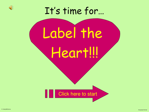 Heart Structure: Interactive Labelling Activity