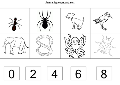 Animal worksheets | Teaching Resources